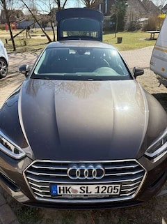 Bild des Angebotes Audi A5 A5 Sportback 40 TDI S tronic sport