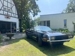 Bild des Angebotes Dodge Challenger