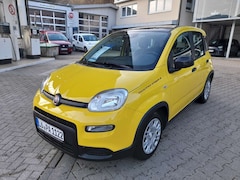 Bild des Angebotes Fiat Panda Pandina Hybrid 1.0 GSE