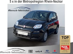 Bild des Angebotes Fiat New Panda 1.0 DAB Spurhalteass. Verkehrszeichenerk. Notbrems