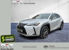 Bild des Angebotes Lexus UX 250h Launch Edition ACC,FLA, LM, KAM, LED
