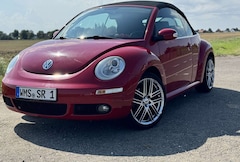 Bild des Angebotes VW New Beetle Cabriolet 1.6
