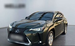 Bild des Angebotes Lexus UX 250h Style Edition *Bi-LED*ACC*CAM*SHZ*CarPlay*