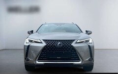 Bild des Angebotes Lexus UX 300e *Bi-LED*Leder*4x SHZ*el Sitze*Kamera*ACC*