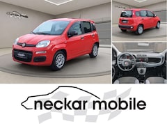 Bild des Angebotes Fiat Panda 1.0 Urban Klima Parktronik DAB Radio