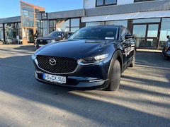 Bild des Angebotes Mazda CX-30 e-SKYACTIV G Homura, Garantie bis 10/30