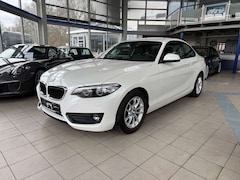Bild des Angebotes BMW 218 218 i Advantage Aut. Navi SHZ