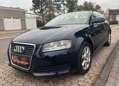 Bild des Angebotes Audi A3 Cabriolet Attraction/Automatik/Leder/TÜV Neu