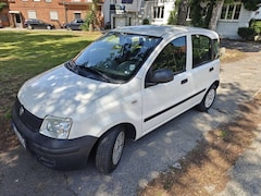 Bild des Angebotes Fiat Panda Panda 1.2 Dynamic