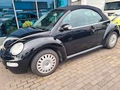 Bild des Angebotes VW New Beetle Cabriolet 1.6 Highline