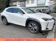 Bild des Angebotes Lexus UX 300e EXECUTIVE*LEDER*BELÜFTETE SITZE*4xSH*