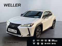 Bild des Angebotes Lexus UX 250h Style Edition *Bi-LED*ACC*Kamera*SHZ*PDC*