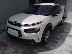 Bild des Angebotes Citroen C4 Cactus C4 Cactus PureTech 110 Stop