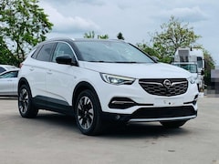 Bild des Angebotes Opel Grandland X Business Innovation 2.0 CTDI *ACC/BSM