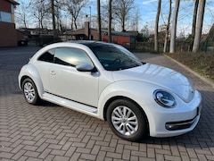 Bild des Angebotes VW Beetle Beetle CUP 1.4 TSI BlueMotion Pano 8-fach-bereift
