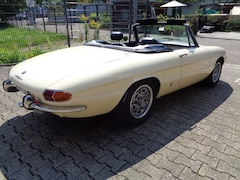 Bild des Angebotes Alfa Romeo Spider 1750 Rundheck, Motor 10Tkm, einmaliger Sammlerzust