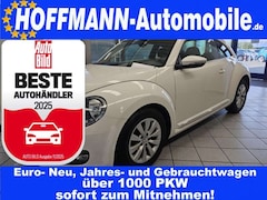 Bild des Angebotes VW New Beetle Design