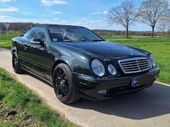 Bild des Angebotes Mercedes-Benz CLK 430 CLK-Klasse V8 Cabrio Unikat Designo Gruen, Gas möglich