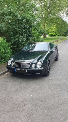 Bild des Angebotes Mercedes-Benz CLK 430 CLK-Klasse V8 Cabrio Unikat Designo Gruen, Autogas