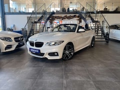 Bild des Angebotes BMW 220 Cabrio 220 d M Sport *1.HAND*19%MWST*NAVI*KAMERA