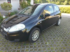Bild des Angebotes Fiat Punto Evo 1.2 8V Active 1. Hand unfallfrei HU 09/26