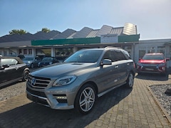 Bild des Angebotes Mercedes-Benz ML 250 CDI BlueTec 4Matic AMG Sport