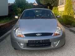 Ford Streetka Streetka 1.6 8V Blues