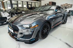 Bild des Angebotes Ford Mustang GT 5,0GT 500 SHELBY LCD PERFORMANCE