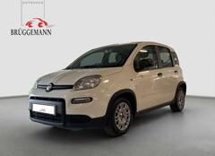 Bild des Angebotes Fiat Panda 1,0 Hybrid Allwetterreifen/Klima/DAB