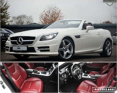 Bild des Angebotes Mercedes-Benz SLK 250 CDI Roadster AMG-LINE|LEDER ROT|HARMAN