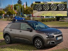 Bild des Angebotes Citroen C4 Cactus PureTech 110 Stop&Start Shine