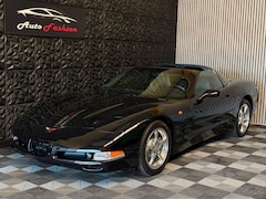 Corvette C5 Targa Coupe 2.HAND 5,7L V8 KLIMA
