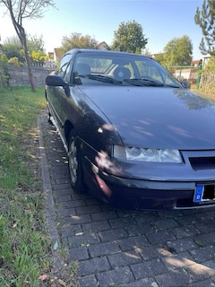 Bild des Angebotes Opel Calibra Young