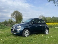 Bild des Angebotes Fiat 500 Cabrio. Sondermodell lounge. Wie Neu!