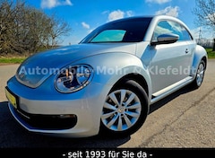 Bild des Angebotes VW Beetle Lim.*TEMPOMAT*SITZHEIZUNG*LMF*PDCVORN*