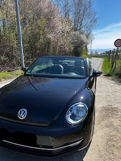 Bild des Angebotes VW Beetle The Beetle Cabriolet 1.2 TSI Bluemotion gepflegt
