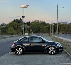 Bild des Angebotes VW Beetle Sport