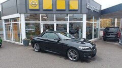 Bild des Angebotes BMW 220 Baureihe 2 Cabrio 220 i M Sport PDC,SH,AHK