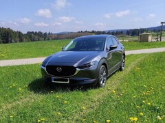 Bild des Angebotes Mazda CX-30 CX-30 SKYACTIV-X 2.0 M-Hybrid AWD Aut. SELECTION