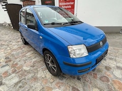 Bild des Angebotes Fiat Panda Panda 1.1 Limited Edition TÜV NEU