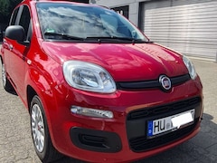 Bild des Angebotes Fiat Panda Panda 1.2 /Klima/Tüv neu/4-Zylinder-Motor