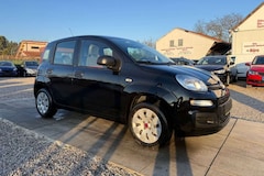Bild des Angebotes Fiat Panda Easy Sportsitze Sport Lenkrad