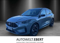 Bild des Angebotes Ford Kuga ST-Line FHEV Winter P. LM 19Z 360 Kamera
