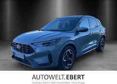 Bild des Angebotes Ford Kuga ST-Line FHEV Winter P. LM 19Z 360 Kamera