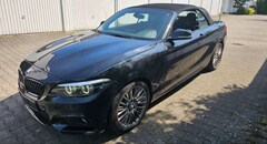 Bild des Angebotes BMW 230 230i Cabrio Aut. M Sport