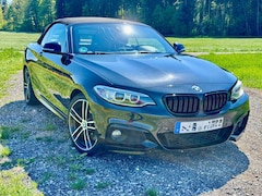 Bild des Angebotes BMW 228 228i Cabrio Sport-Aut. M Sport