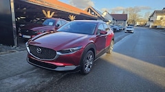 Bild des Angebotes Mazda CX-30 als Exclusive-Line