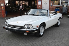 Bild des Angebotes Jaguar XJS 5.3 V12 Cabrio *ORIGINAL*TRAUM OPTIK*