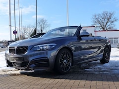 Bild des Angebotes BMW 240 Cabrio SR+WR Harman Kardon