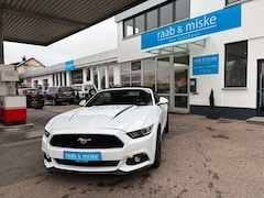 Bild des Angebotes Ford Mustang "Deutsches Modell"